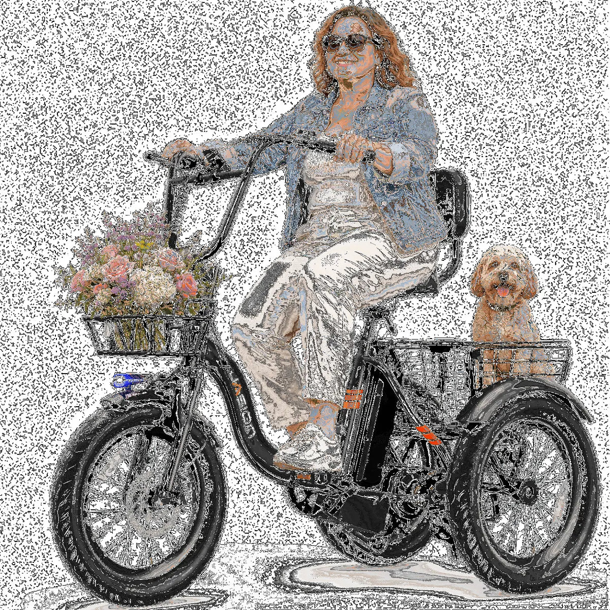 Tricycle électrique Jasion, 18 Pouces, JT18 à Enjambement Bas pour Adultes, 3 Roues 500W avec Paniers avant et Arrière, Batterie 48V 13Ah, Noir