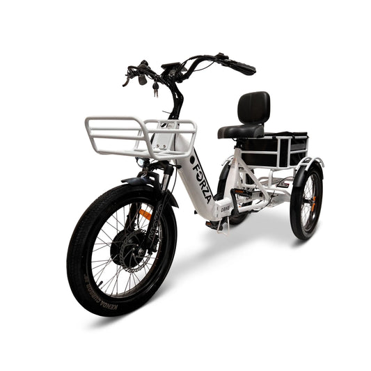 Tricycle électrique, Adultes, Bicicleta Electrica à 3 Roues pour Adultes, Autonomie jusqu'à 112 Miles, GOBIKE Forza Compact Vélo Électrique