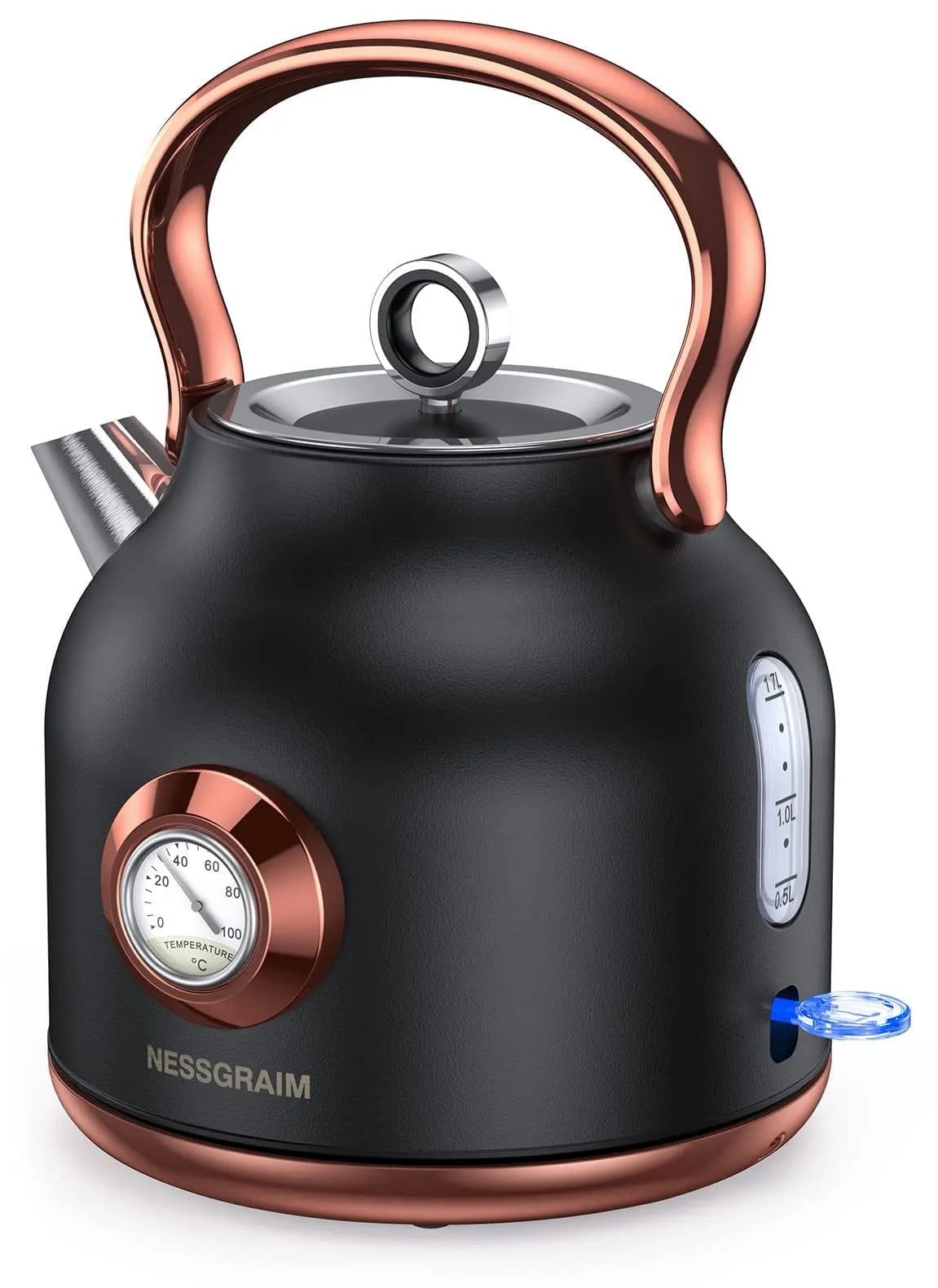 Chauffe-eau électrique, Bouilloire à Thé en acier inoxydable 1,7 L, chaud Rapide 1500 W, Grande Jauge de Température, Indicateur DEL