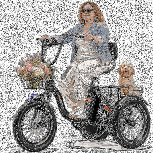 Tricycle électrique Jasion, 18 Pouces, JT18 à Enjambement Bas pour Adultes, 3 Roues 500W avec Paniers avant et Arrière, Batterie 48V 13Ah, Noir